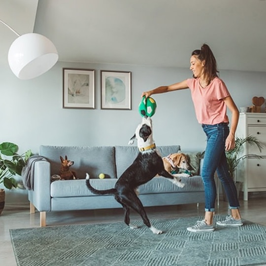 Why Is My AC Short Cycling?